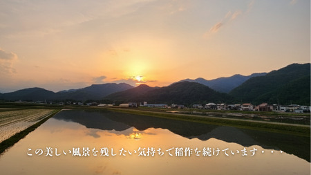 秩父市産　彩のきずな　3kg（精米） ／ お米 ご飯 ひと粒ごとに千年の祈り 美しさ 埼玉県 No.635