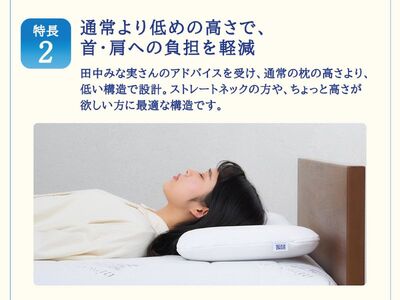 エアウィーヴ ピロースリムmini 枕 まくら 洗える 洗濯可 いびき 高反発 オールシーズン対応 ギフト 母の日 父の日 敬老の日 安眠 快眠 健康 肩 首 高さ調整 熟睡 寝具 寝心 寝返り 新生活 大人気 送料無料