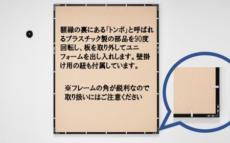 ユニフォーム額 グルアール ベージュ ユニフォーム 額 ケース コレクションケース アクリルケース 展示用 額 スポーツ スポーツグッツ ギフト 記念品 思い出 贈り物 贈答 プレゼント FS-808