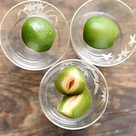 食卓が華やぐ♪前菜やワインのお供に!桃のピクルス「小桃も桃も桃のうち」3本ギフト【配送不可地域：離島】【1203884】