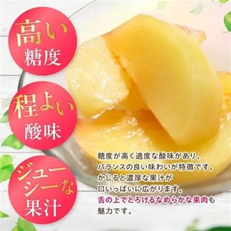 山梨県オリジナル品種の完熟すもも「サマーエンジェル」舌の上でとろけるなめらかな果肉【配送不可地域：離島・沖縄県】【1203987】