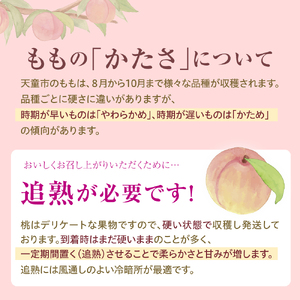 もも ( 8月 品種 おまかせ 白桃 ) 3kg フルーツ 果物 山形 08-08-004