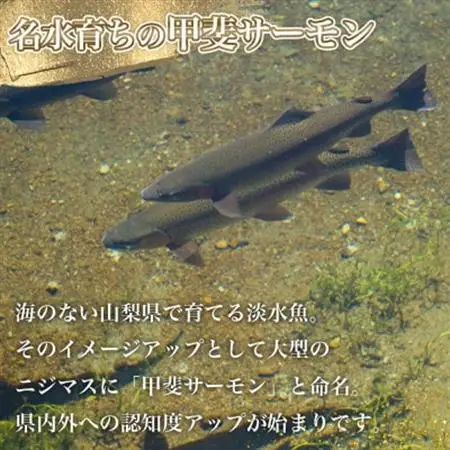 山梨生まれ『甲斐サーモン』お刺身300g(5～6人前) 富士の名水で育ったオリジナル品種【配送不可地域：離島】【1225951】