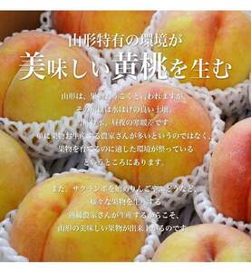 もも ( きららの極み ) 2kg フルーツ 果物 山形 08-10-004