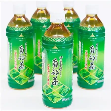 甲斐のみどり南部茶(ペットボトル500ml) 24本入り1ケース【配送不可地域：離島】【1241992】