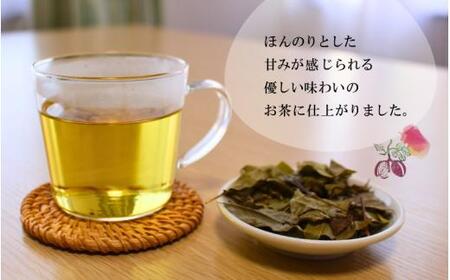 新芽のあけび茶 12g×3 / アケビ 岡山県 真庭市 しげや 【shigeya009-01】