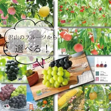山梨の旬を堪能!あとから選べるプレミアムギフトカタログ【30万円コース】フルーツ シャインマスカット【1279322】