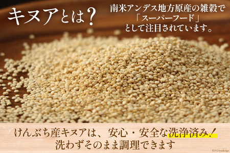 キヌア 20g×2袋 計40g [けんぶちVIVAマルシェ 北海道 剣淵町 14656368]