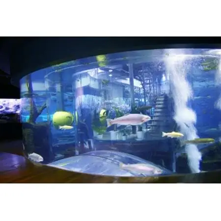 森の中の水族館。年間パスポートとオリジナルグッズ【配送不可地域：離島】【1308751】