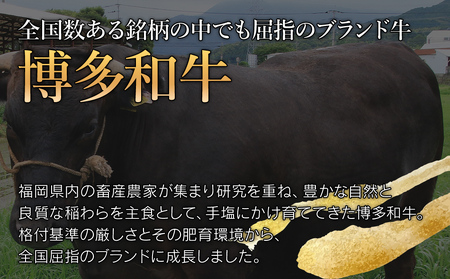 博多和牛 100％ 贅沢 手ごね ハンバーグ 150g×10個 牛肉のみ 肉 お肉 和牛 国産牛 焼くだけ おかず お弁当 冷凍 牛肉 計1.5kg 食べ応え お取り寄せ お取り寄せグルメ オリジナル配合スパイス 旨味 簡単調理