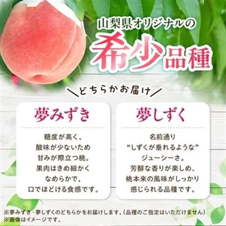 日本一の桃の里 山梨よりもぎたてを直送!山梨県オリジナル品種「夢みずき・夢しずく」1.5キロをお届け【配送不可地域：離島】【1381399】