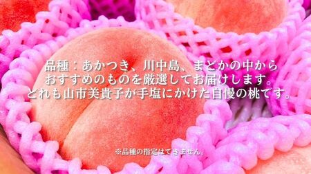 【贈答用】 田子町産白桃 約5kg（12～16玉） 8月出荷