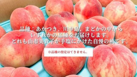 田子の家庭用白桃 約5kg（15～18玉）【8月中旬以降より順次配送】