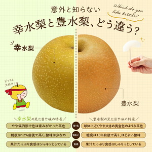 幸水梨 ご自宅用 約5kg【先行予約・数量限定】世羅 幸水農園 幸水 梨 せら なし フルーツ 果物 くだもの 甘い 果汁 ジューシー デザート 産地直送 JGAP認証 新鮮【2026年8月中旬以降順次発送】 A005-01