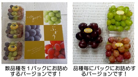 世羅産ぶどう粒食べ比べパック 約900g(3パック)【先行予約・数量限定】カナダ人農園主 ぶどう ブドウ マスカット フルーツ 果物 くだもの 産地直送 世羅 ラピアビンヤード【2026年9月下旬以降順次発送】 A021-09