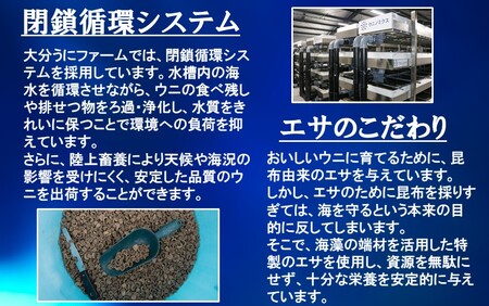 豊後の磯守 粒うに 60g×2本 _2522R