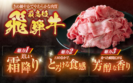 【3回定期便】 ※冷蔵配送/地域限定※ 飛騨牛 小間切 450g 瑞浪市 / きなぁた瑞浪 和牛 国産 岐阜県産[AZCI068]