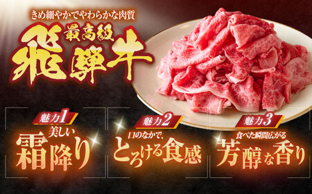 【6回定期便】 ※冷蔵配送/地域限定※ 飛騨牛 切落し (モモまたはカタ) 700g 瑞浪市 / きなぁた瑞浪 和牛 国産 岐阜県産[AZCI075]
