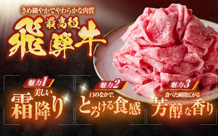 【12回定期便】 ※冷蔵配送/地域限定※ 飛騨牛 切落し (ロースまたは肩ロース) 600g 瑞浪市 / きなぁた瑞浪&nbsp;和牛 国産 岐阜県産[AZCI079]