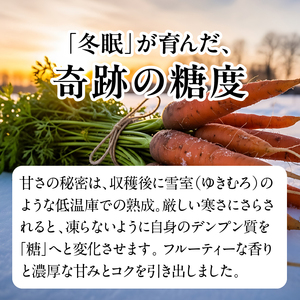 行方市産 アロマレッド 使用 人参ジュース 3本｜野菜 ジュース スピード発送 茨城県(CU-343)