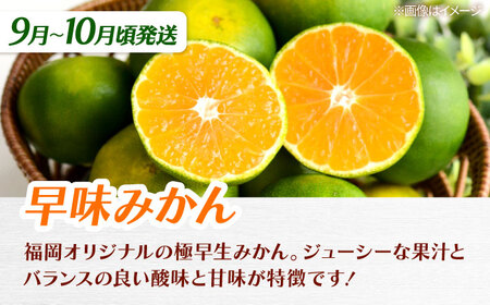 【全3回定期便】九州・福岡もぎたて フルーツ定期便 A　桂川町/一般社団法人地域商社ふるさぽ[ADCF017]