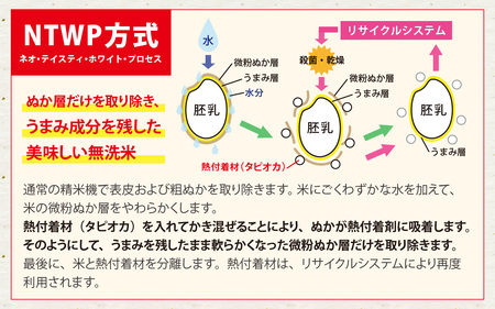 令和7年産【無洗米】特別栽培米 福井県産コシヒカリ 10kg (5kg×2袋) [C-020032] / 無洗米
