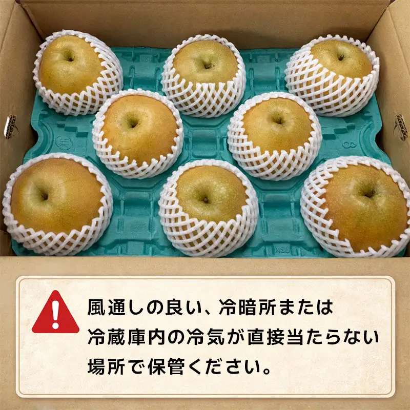 『先行予約』【令和8年7月上旬より順次発送】唐津産 梨 5kg【旬の味覚】幸水 豊水