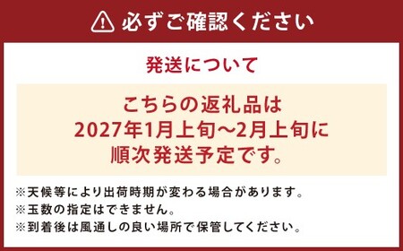 【先行予約】 人吉産 不知火（しらぬい）3kg フルーツ 果物 くだもの 柑橘 デコポン でこぽん お取り寄せ【2027年1月上旬～2月上旬発送予定】