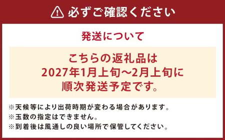 【先行予約】 人吉産 不知火（しらぬい）6kg（3kg×2箱）フルーツ 果物 くだもの 柑橘 デコポン でこぽん お取り寄せ【2027年1月上旬～2月上旬発送予定】
