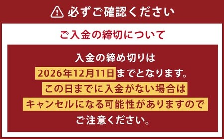 【先行予約】 人吉産 不知火 （しらぬい） 6kg フルーツ 果物 くだもの 柑橘 デコポン でこぽん お取り寄せ【2026年12月下旬より順次発送予定】