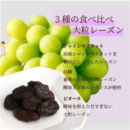 33種の葡萄で作ったロゼワイン720mlとレーズン3種食べ比べ(シャインマスカット、巨峰、ピオーネ)【配送不可地域：離島】【1513170】