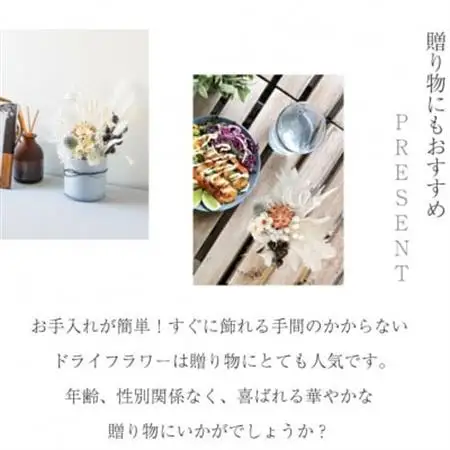 ドライフラワー「セレンホワイト」そのまま飾れる  おしゃれ シンプルで美しいアレンジ【配送不可地域：離島】【1517020】