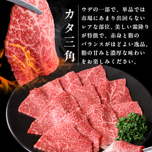 i1336 鹿児島県産 黒毛和牛 赤身希少部位セット焼肉用(計600g) カタ三角 トウガラシ 希少 部位 赤身 焼肉 国産 九州産 牛肉 国産牛 セット レア 小分け 焼き肉 BBQ 冷凍配送 【スターゼン】