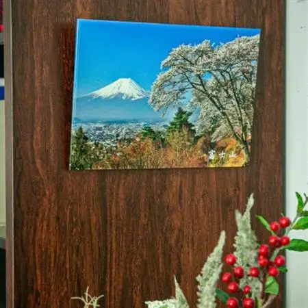 富士山アクリルパネル　A4　春【配送不可地域：離島】【1542295】