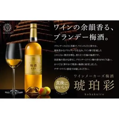 マンズ ワイナリー ワインメーカーズ梅酒 琥珀彩 2本セット【配送不可地域：離島】【1607396】