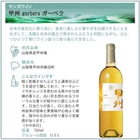 甲州 オレンジワイン 2本セット【配送不可地域：離島】【1607419】