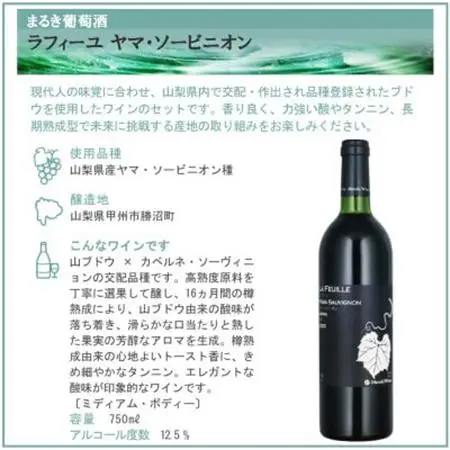 山梨県作出ブドウ 甲斐ノワール＆ヤマ・ソービニオン 2本セット【配送不可地域：離島】【1607456】