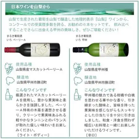 これぞ山梨 「GI山梨」認証ワイン 6本セット【配送不可地域：離島】【1607485】