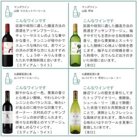 山梨ワイン 至極の12本セット【配送不可地域：離島】【1607490】