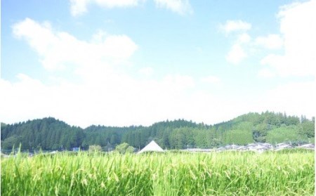 令和７年産 南小国町産のお米あきげしき １０kg 南小国産 精米 玄米 米 白米 お米 ご飯 産地直送 SMO南小国 熊本 阿蘇 南小国町 送料無料