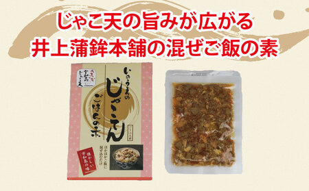 練物 じゃこ天 蒲鉾 じゃこ天ごはん セット 井上蒲鉾本舗 練物 C015-003005