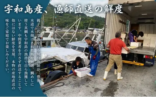 宇和島の鯛めし 1～2人前 5セット 宇和島鮮魚 鯛めし D016-200002