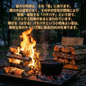 薪 10kg 栗の木