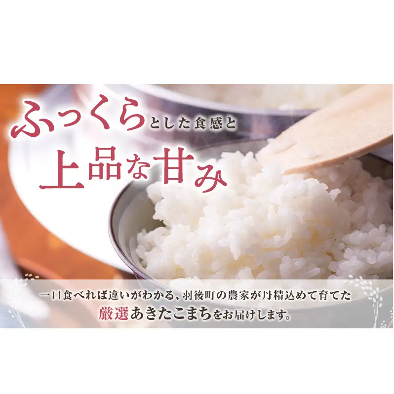 秋田県 羽後町産 あきたこまち 精米 5kg×1袋【 米 お米 白米 精米 アキタコマチ 美味しい 秋田 羽後 】