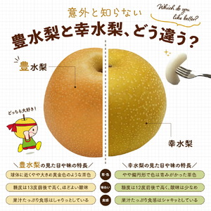 世羅豊水梨 3kg（美粧箱入））【先行予約・数量限定】世羅 大豊農園 豊水 梨 せら なし フルーツ 果物 くだもの 産地直送 新鮮 贈答 進物【2026年9月中旬以降順次発送】  A019-03
