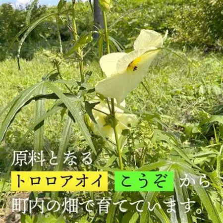 【日本の文化を応援!】柳津の伝統和紙「野老沢和紙」【A3サイズ×10枚セット】【1713930】