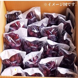 世羅産クイーンセブン 約5kg【先行予約・数量限定】カナダ人農園主 ぶどう ブドウ マスカット クイーンセブン フルーツ 果物 くだもの 産地直送 世羅 ラピアビンヤード【2026年8月下旬以降順次発送】 A021-25