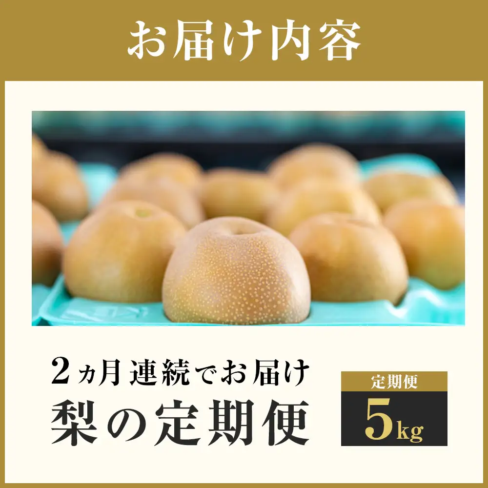 【梨の定期便／全2回発送】和梨2カ月連続お届け 5kg（品種おまかせ） 