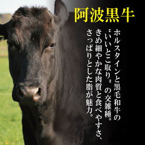 牛肉 切り落とし 700g 阿波黒牛 希少部位入り ドリームチーム