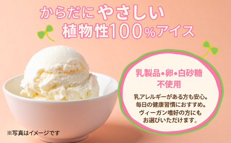 SOY(豆乳)アイス 6個セット (プレーン(豆乳のみ)・抹茶・沖縄産秋ウコン) 3種類 各2個 | 沖縄ウコン堂 ソイアイス アイスクリーム | 国産 沖縄産 | ヘルシー 低カロリー デザート スイーツ | ヴィーガン 植物性100% | 宜野湾市 送料無料